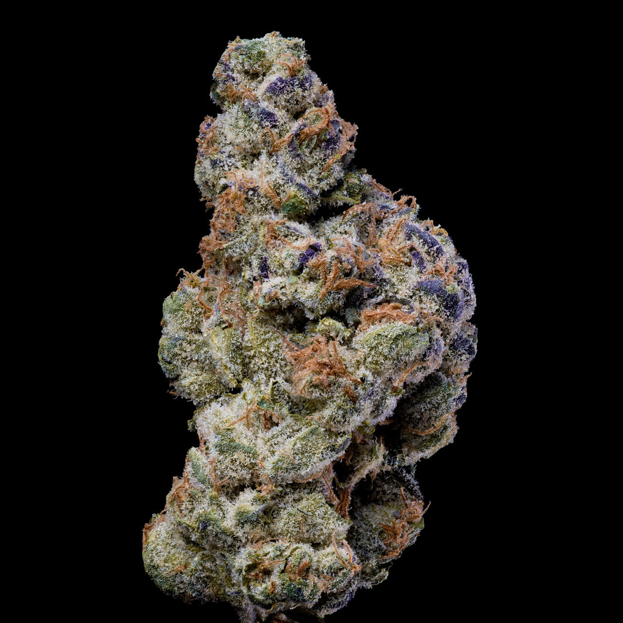 White Coconut Pie ( 6 Pack )